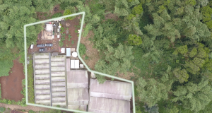 LAND ACQUISITION