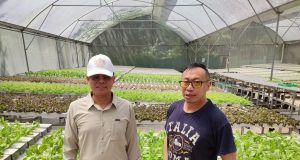 RUMPIN HYDROPONIC ORGANICS