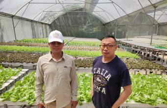 RUMPIN HYDROPONIC ORGANICS