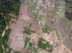 Serba Farm’s Organic Plantation Journey: A Legacy Since 2018