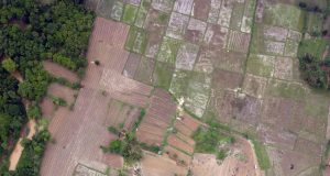 Serba Farm’s Organic Plantation Journey: A Legacy Since 2018
