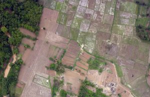 Serba Farm’s Organic Plantation Journey: A Legacy Since 2018