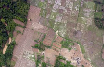 Serba Farm’s Organic Plantation Journey: A Legacy Since 2018