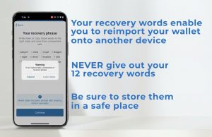 WALLET SETUP